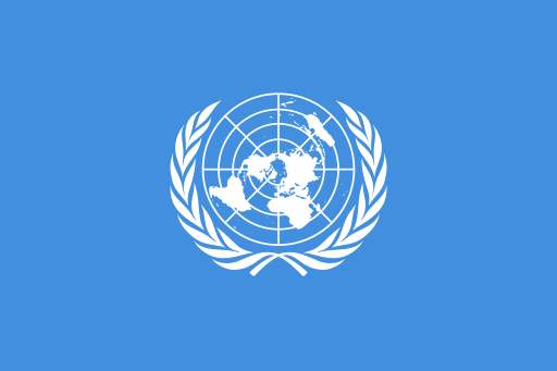 Siria, Scilipoti Isgrò (FI): “L’ONU indaghi su presunto attacco armi chimiche&quot;