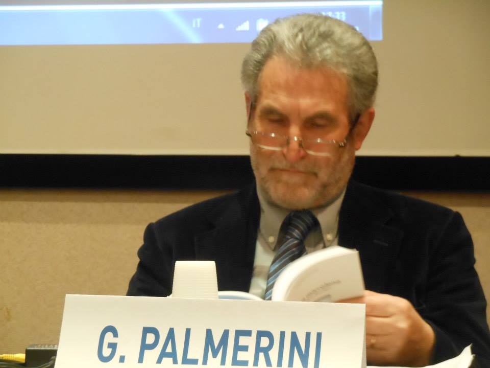 Goffredo  Palmerini  Alla  biblioteca  comunale, La scrittura tra informazione e  letteratura  ( con  la  passione  per  l’italianità )