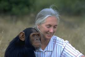 La scienziata Jane Goodall in Umbria il '1 e 2 giugno