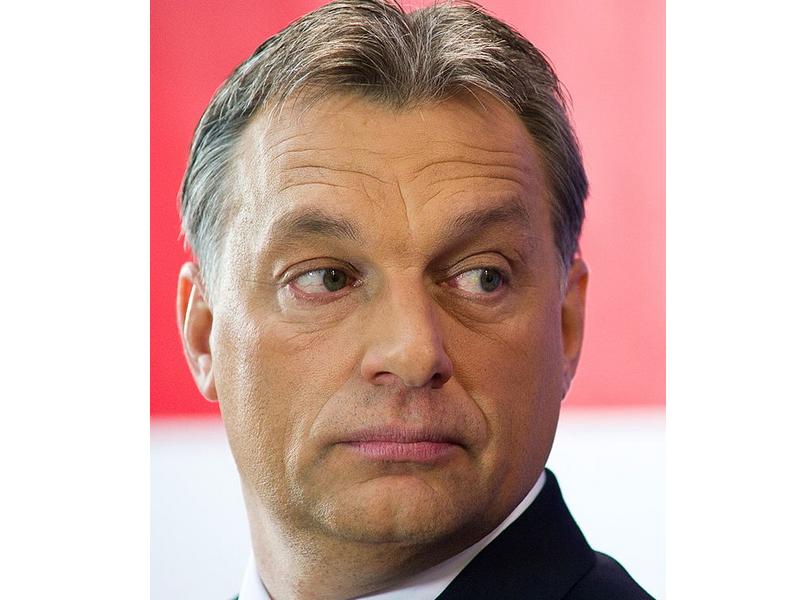 Ungheria. Il governo Orbán sotto attacco delle multinazionali