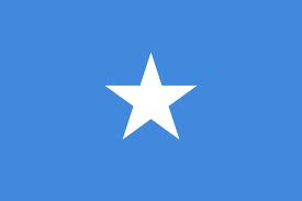Somalia: Casini, consolidarla per stabilizzare Corno D'africa. Oggi al Senato l'incontro col presidente del Parlamento Jawari