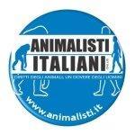 San Miniato (Pisa), Sabato 21 Marzo: Presidio E Flash Mob Degli Animalisti Italiani Contro La Macellazione Rituale