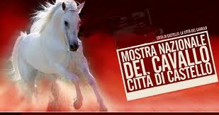 Torna a Città di Castello la  47ª  edizione della &quot;Mostra nazionale del cavallo&quot;