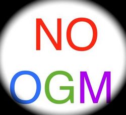 No cibi Ogm, Emma Bonino è un OGM... faccia il Presidente della Monsanto