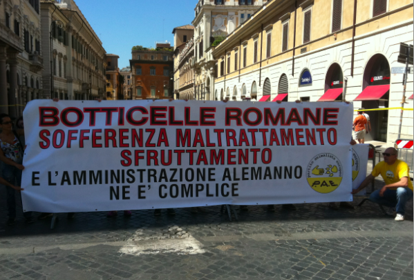 Roma 16 Giugno 2012: Stato di Polizia, violati diritti politici del Partito Animalista Europeo. Denunciato Questore di Roma 
