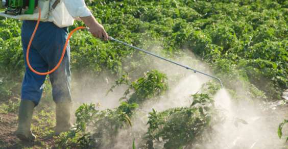 25 aprile incontro su agricoltura biologica e danni dei pesticidi