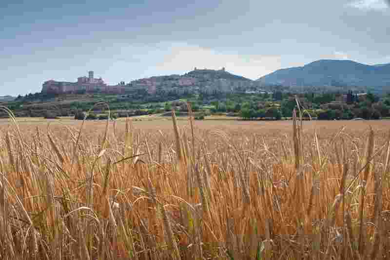 Festival delle eccellenze umbre | Dal 25 al 27 luglio, Assisi-  Percorso Enogastronomico tra Cultura, Arte e Storia