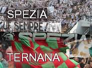 Calcio Serie B. Spezia Ternana 1 a 1. Liguri salvi grazie ad un fallo di mano di Vitale