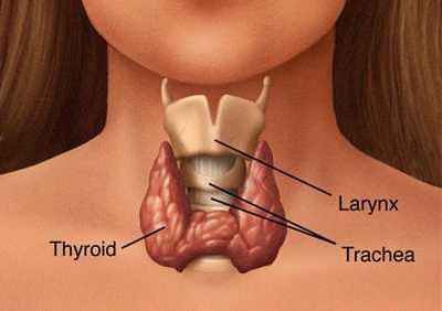 Medicina e Salute. Merck Serono: I disturbi della tiroide nelle donne